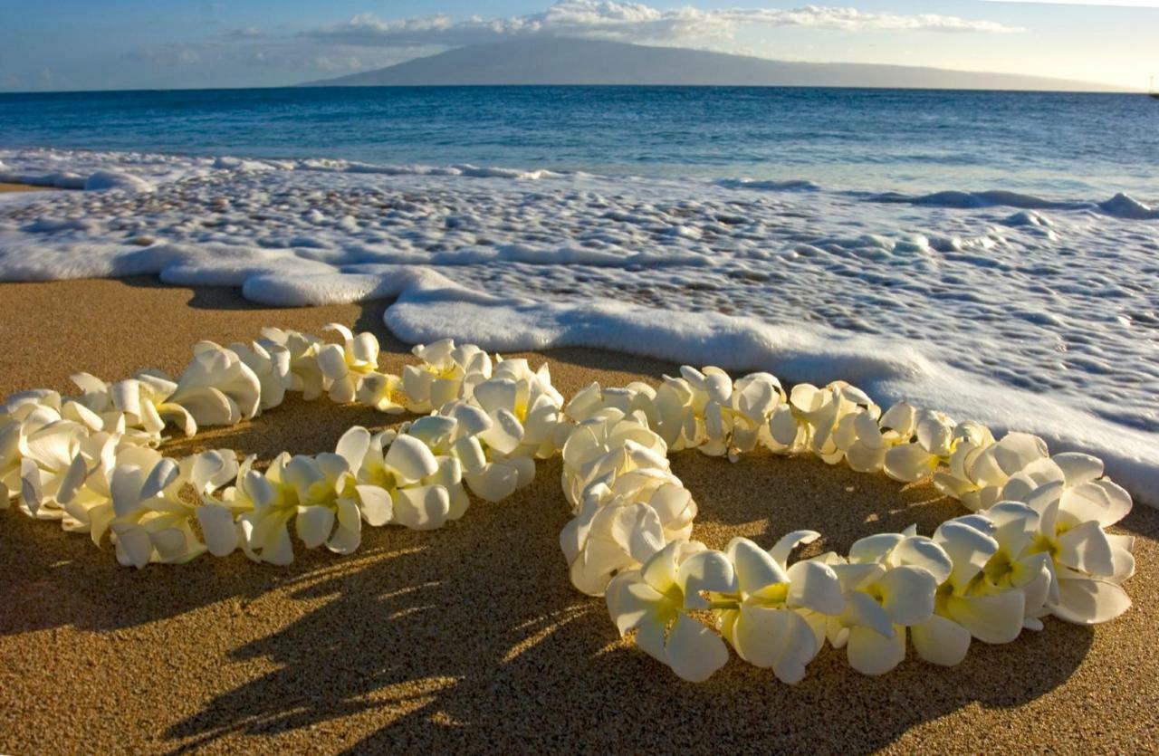 Beautiful Ocean And Diamond Head Views With Parking Apartment Honolulu Exterior foto